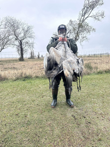 Wildlife wonders in Matagorda